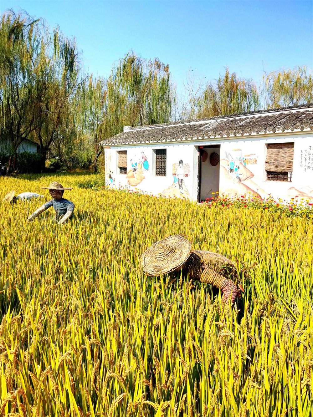 image56