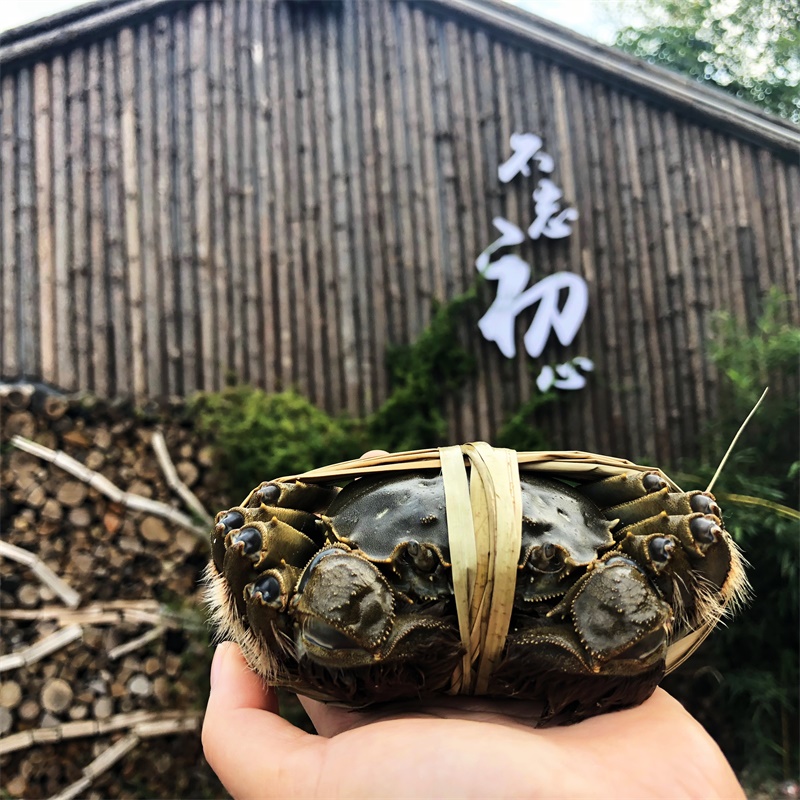 微信图片_20190721133610