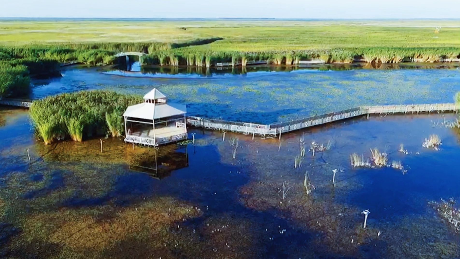 268cddf4f0fc444ca8842edfdff569ba~tplv-pk90l89vgd-crop-center