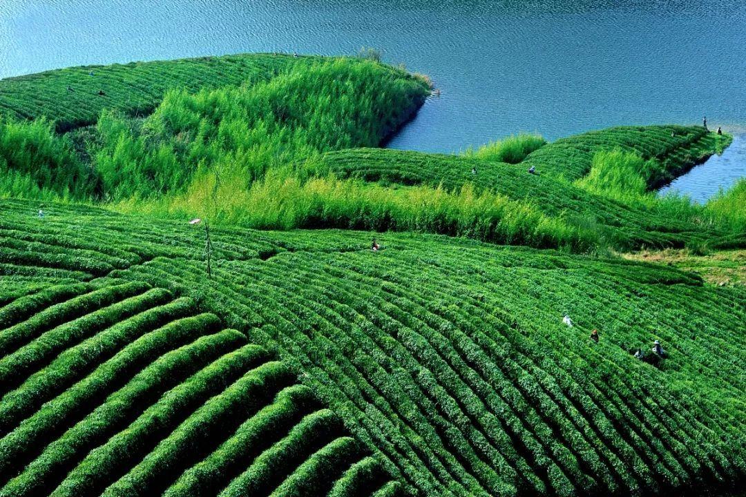 src=http_%2F%2F5b0988e595225 src=http_%2F%2F5b0988e595225